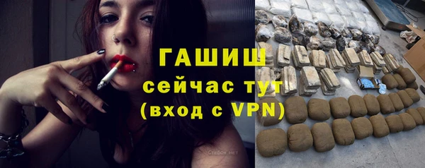стаф Богданович