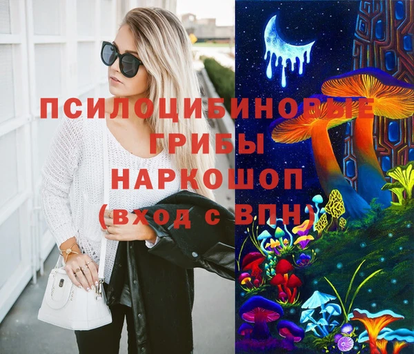 PSILOCYBIN Арсеньев