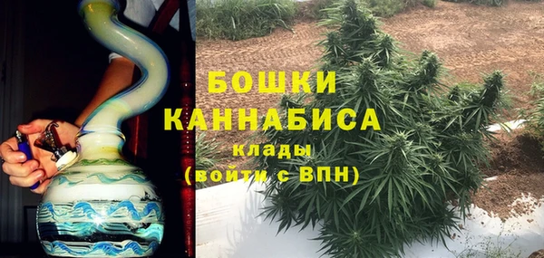 стаф Богданович