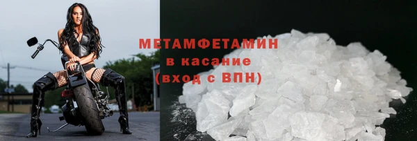 стаф Богданович