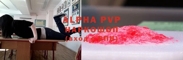 стаф Богданович